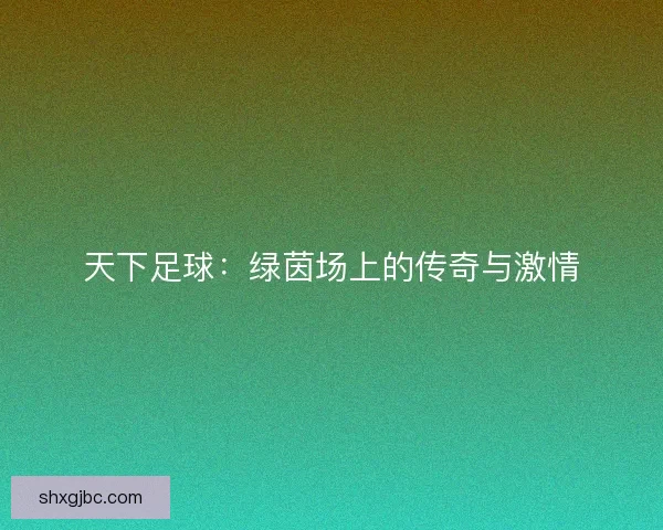 天下足球：绿茵场上的传奇与激情