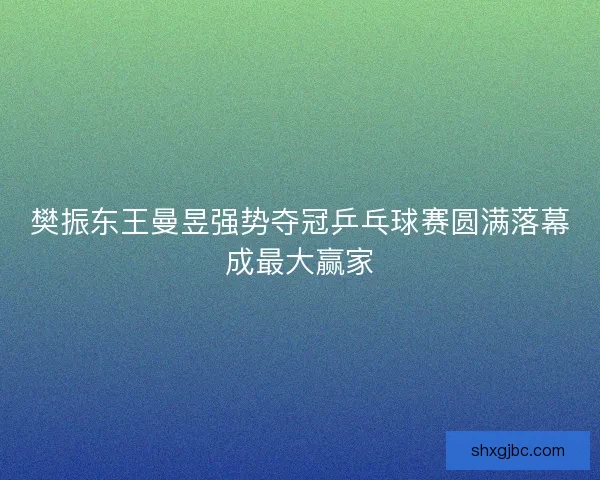 樊振东王曼昱强势夺冠乒乓球赛圆满落幕成最大赢家