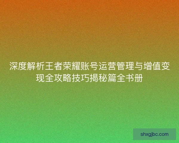 深度解析王者荣耀账号运营管理与增值变现全攻略技巧揭秘篇全书册