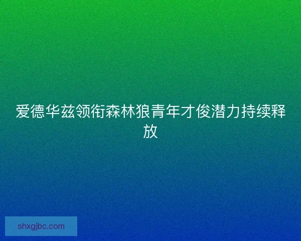 爱德华兹领衔森林狼青年才俊潜力持续释放