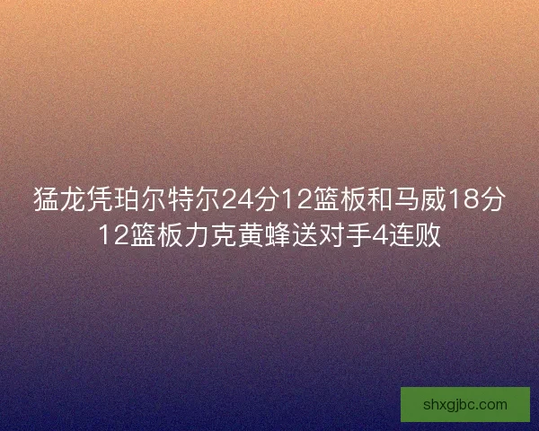猛龙凭珀尔特尔24分12篮板和马威18分12篮板力克黄蜂送对手4连败