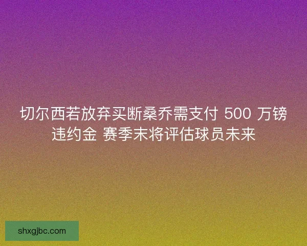 切尔西若放弃买断桑乔需支付 500 万镑违约金 赛季末将评估球员未来
